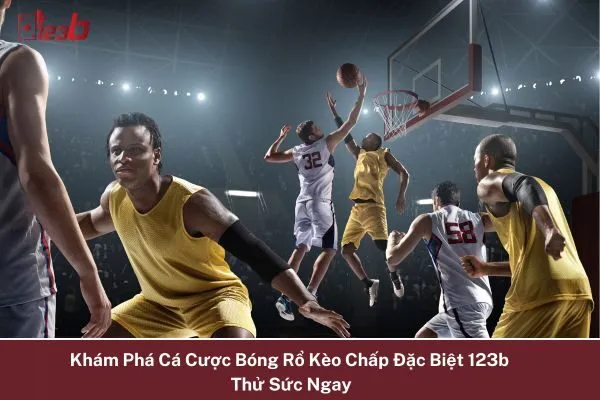 Khám Phá Cá Cược Bóng Rổ Kèo Chấp Đặc Biệt 123b – Thử Sức Ngay 5 Cá Cược Bóng Rổ